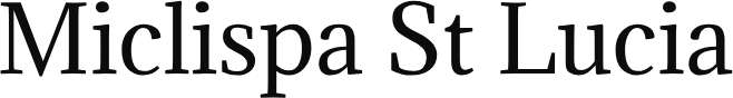 Website title